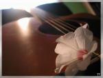 virtuelle51 Photo