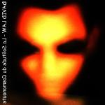 David Law n'The Arkitekts Photo