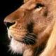 Galahad42 Photo
