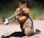philipo Photo